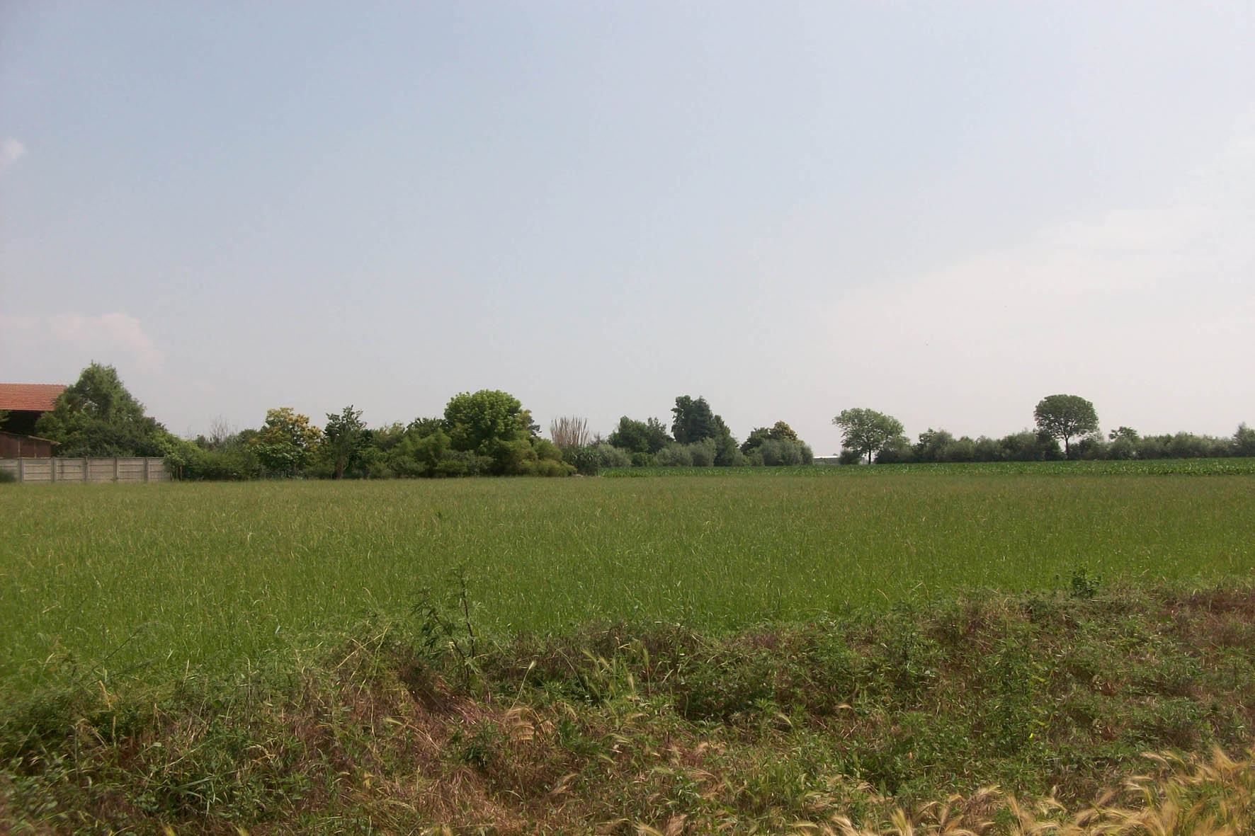 SALUGGIA-VC-COMUNE-IMPIANTO FOTOVOLTAICO CAMPO APERTO